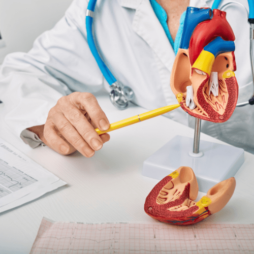 Our Services 22 Cardiology