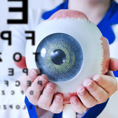 Our Services 11 Ophthalmology