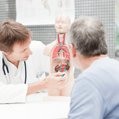 Our Services 24 Urology
