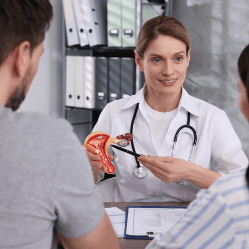 Best Gynecologist Hospital in Gurgaon 3 Fertility and IVF